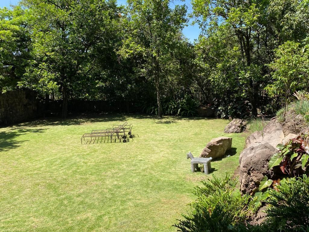 jardin