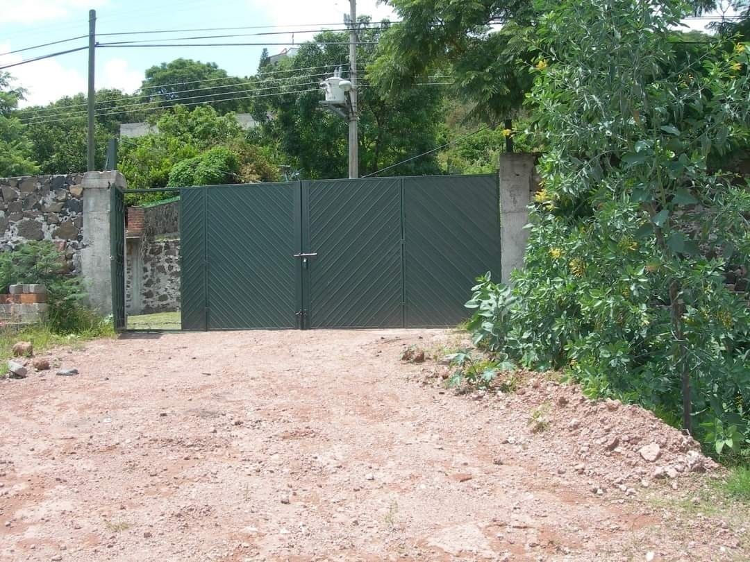 Imagen 4 de 7