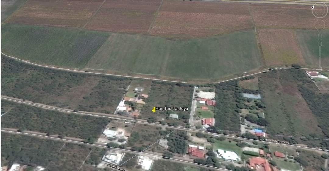 Imagen 5 de 7