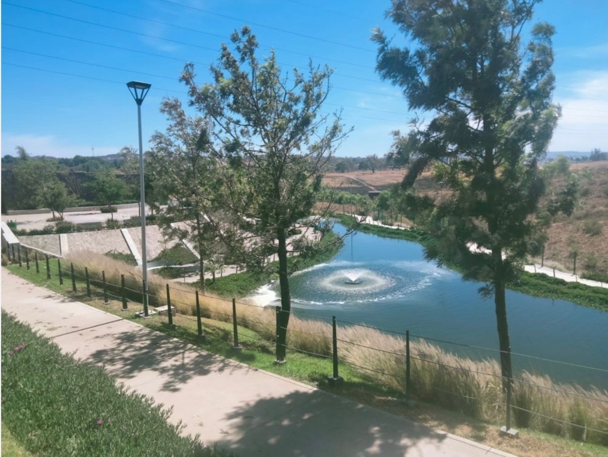5 de 19