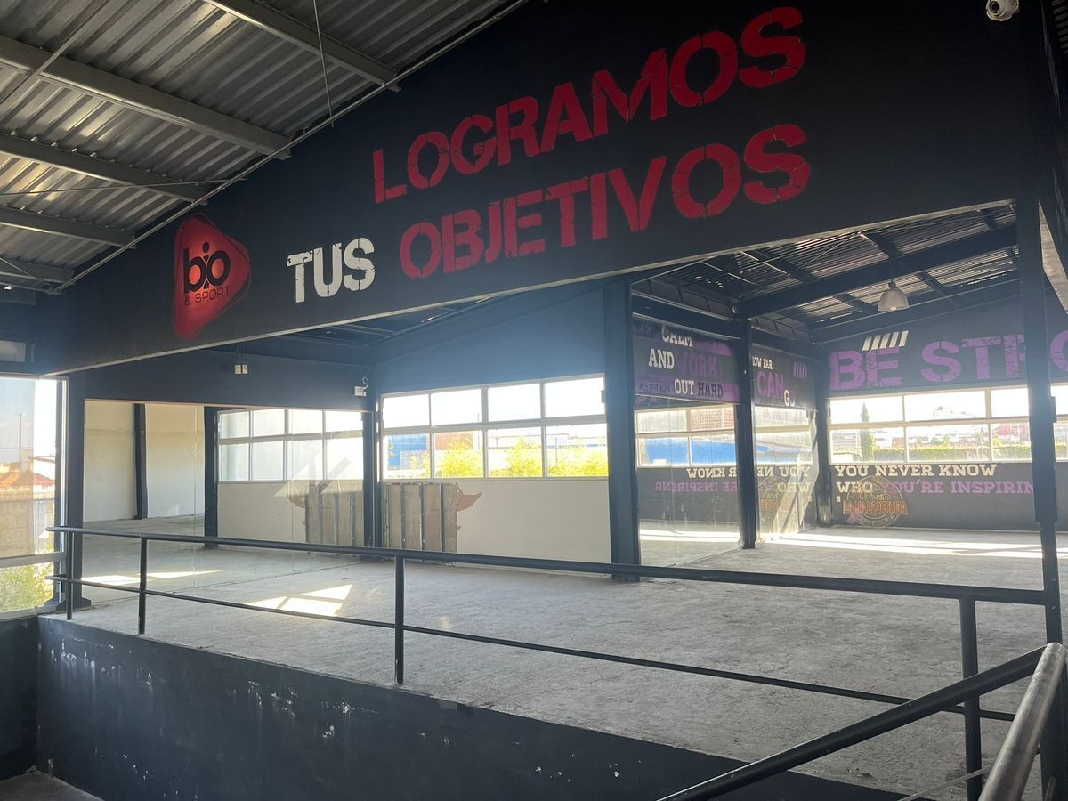 7 de 12