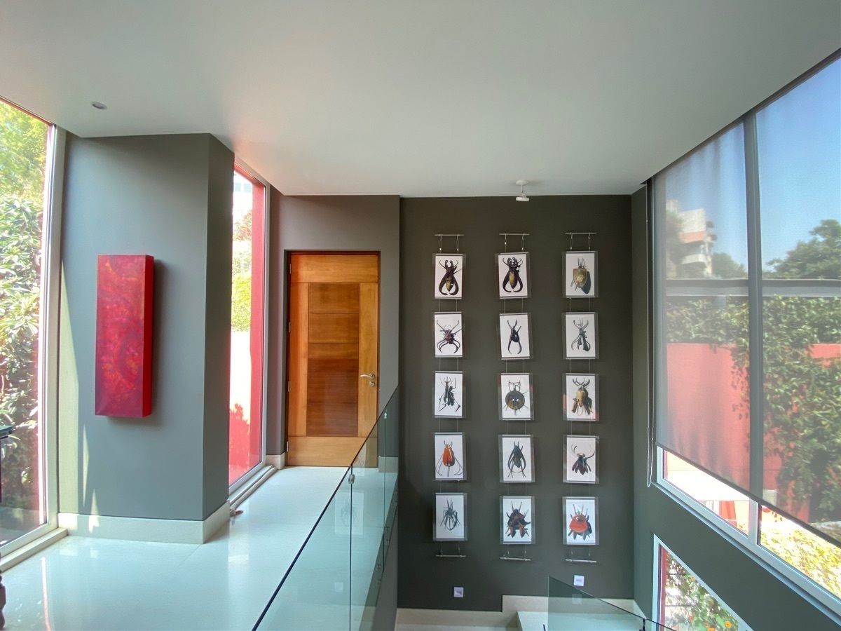 Casa en condominio en Lomas de Chapultepec I Sección, Miguel Hidalgo, foto 3 de 9