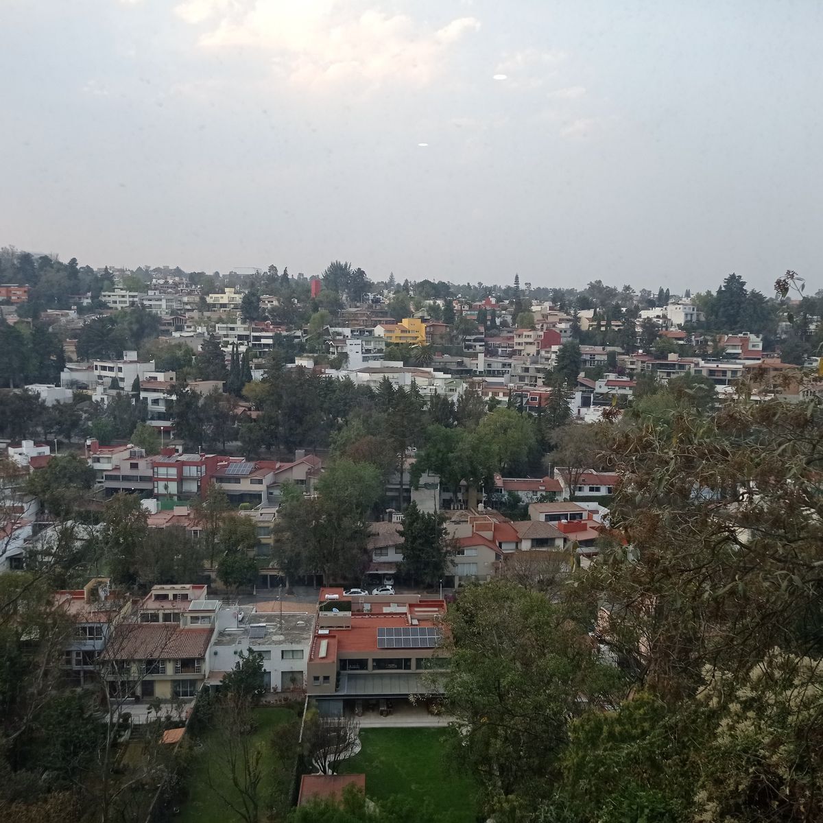 4 de 14