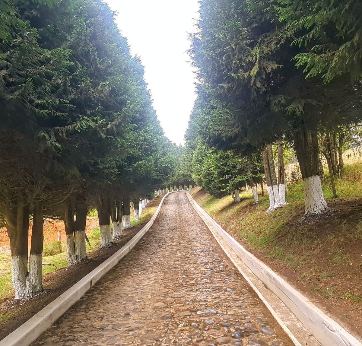 Rancho en Acaxochitlán Centro, Acaxochitlán, foto 16 de 30