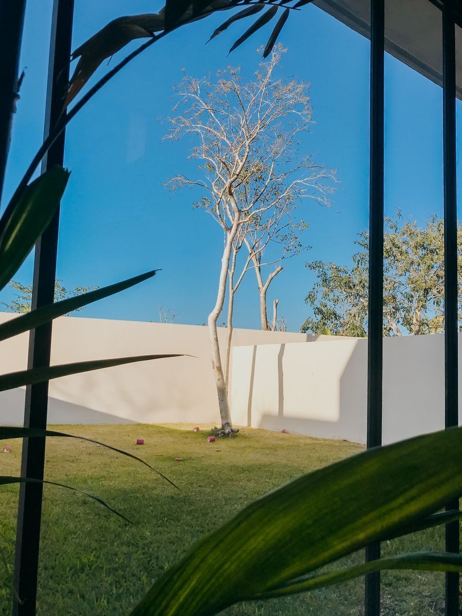 8 de 25