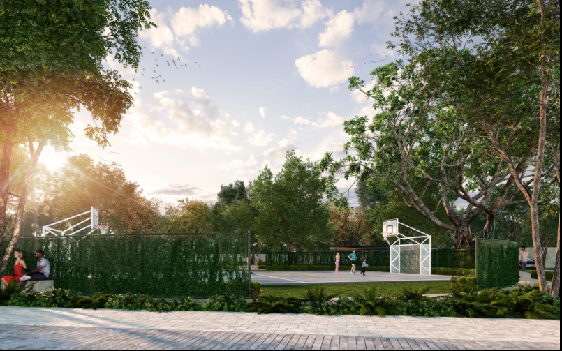 6 de 13: CANCHAS BASKET