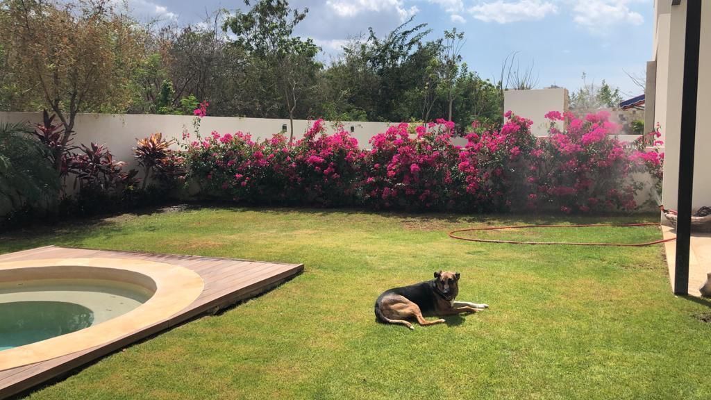 House in Gated Community in Yucatán Country Club, Mérida, photo 19 of 24