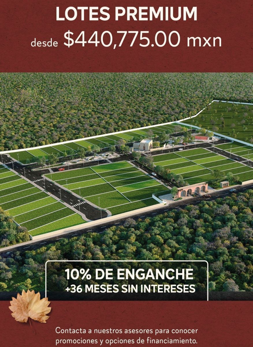 13 de 13: Master plan 