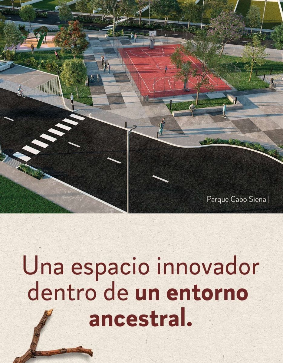 4 de 13: Avenidas principales 