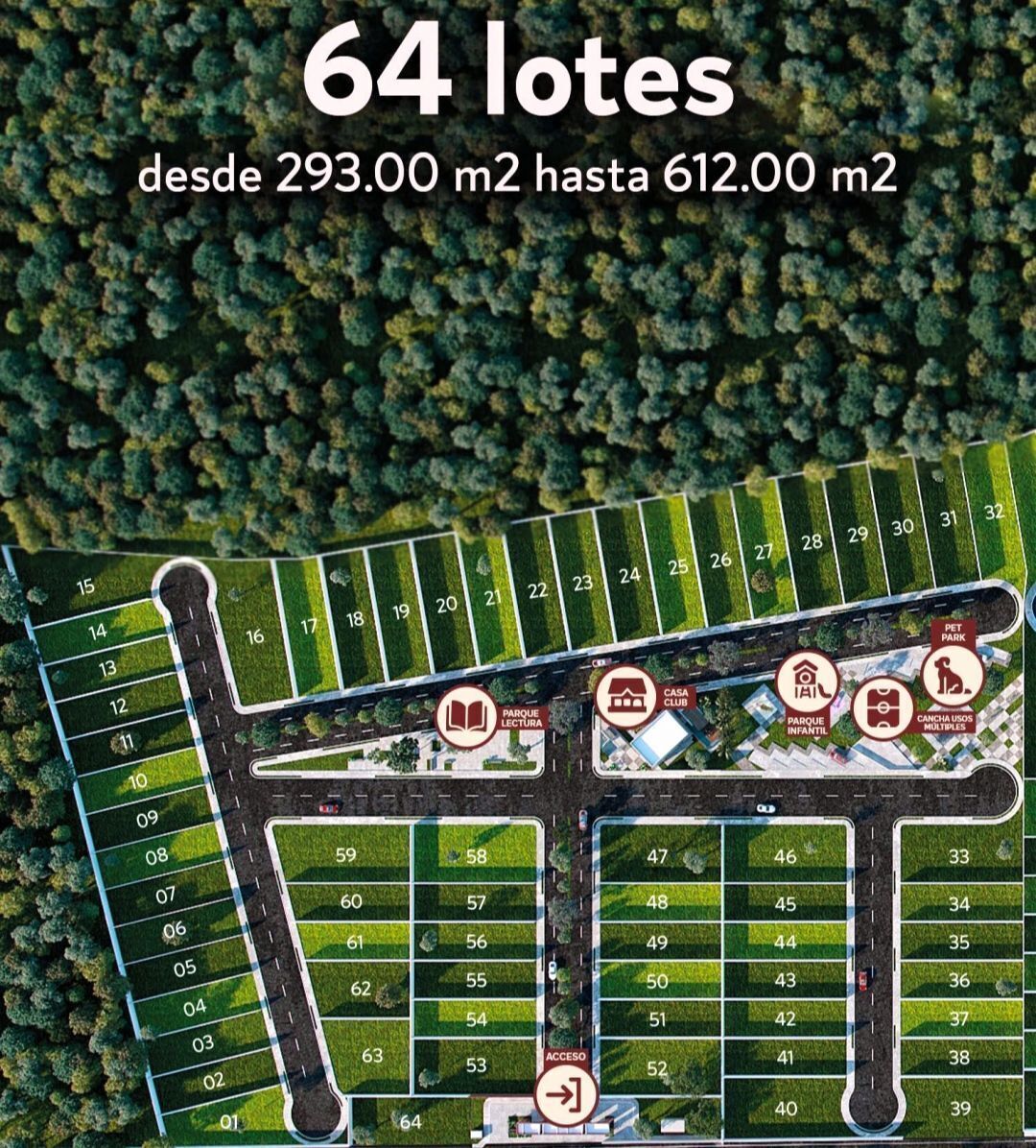 1 de 13: Amenidades 