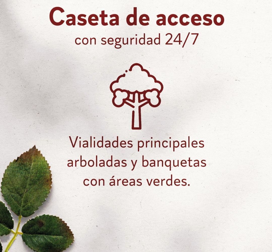 6 de 13