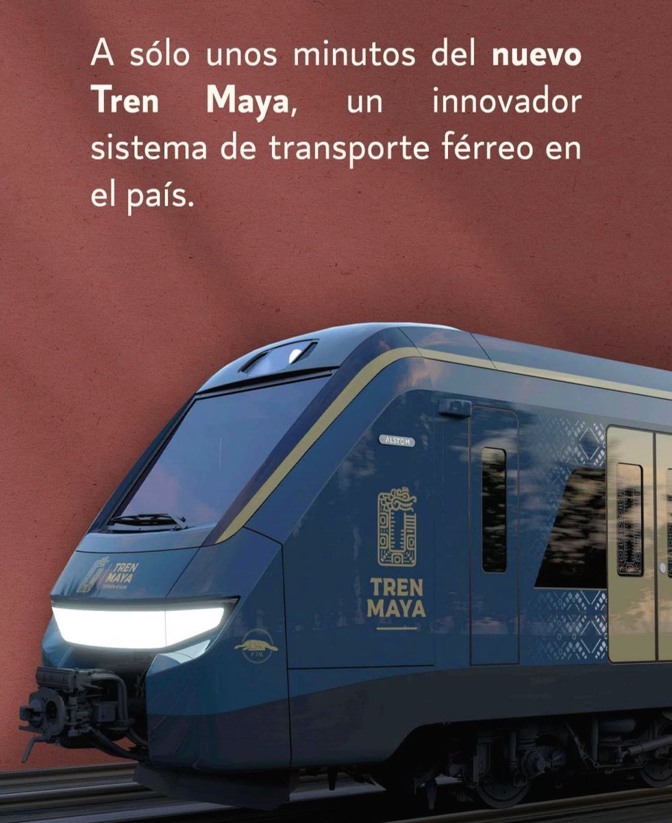 11 de 13