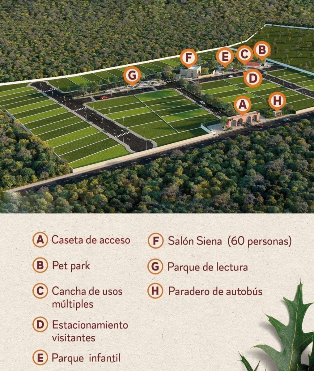 12 de 13