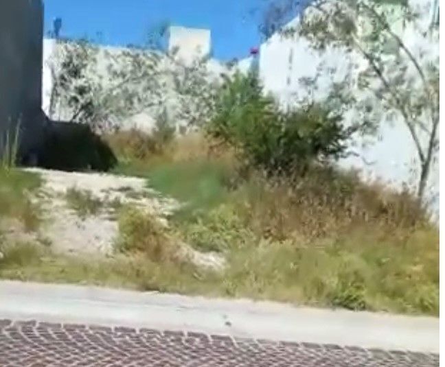 2 de 10