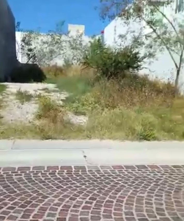 5 de 10
