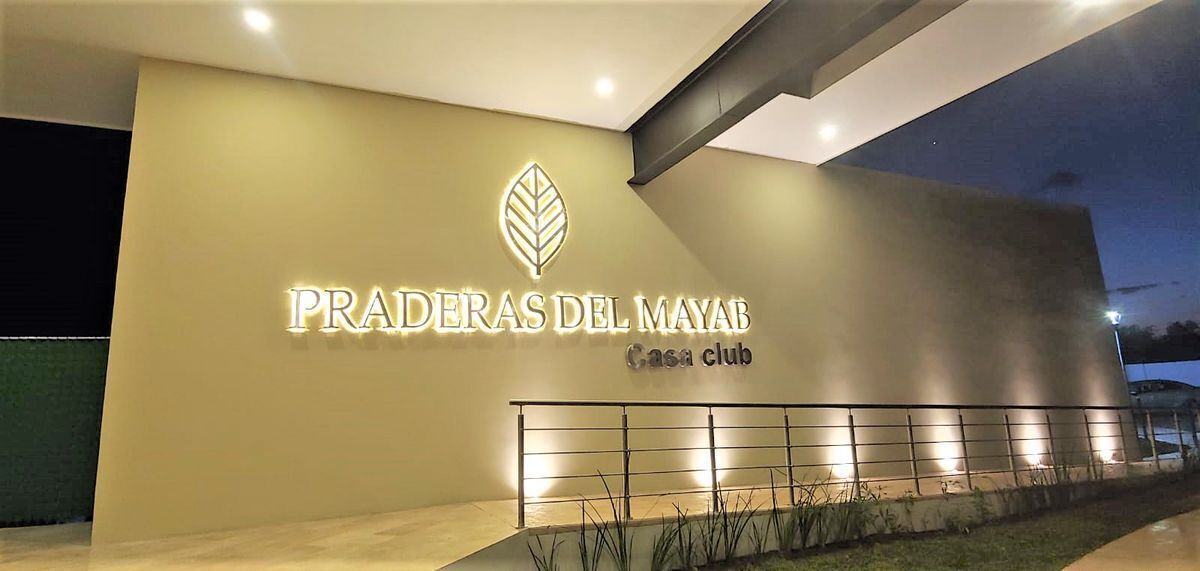 26 de 50