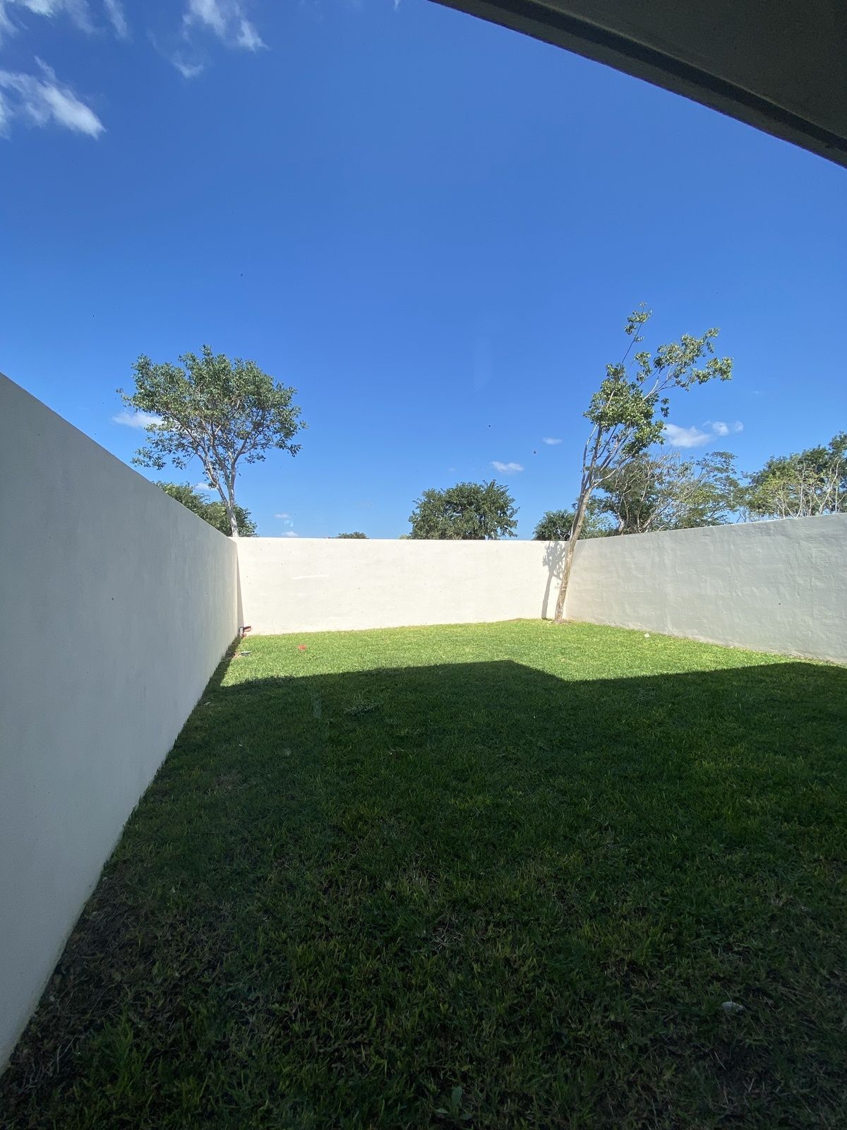 7 de 10