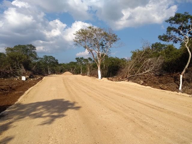 3 de 3
