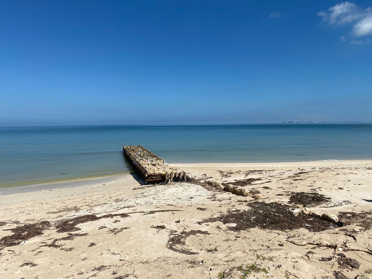 TERRENO EN VENTA FRENTE AL MAR CHELEM PUERTO, YUCATAN