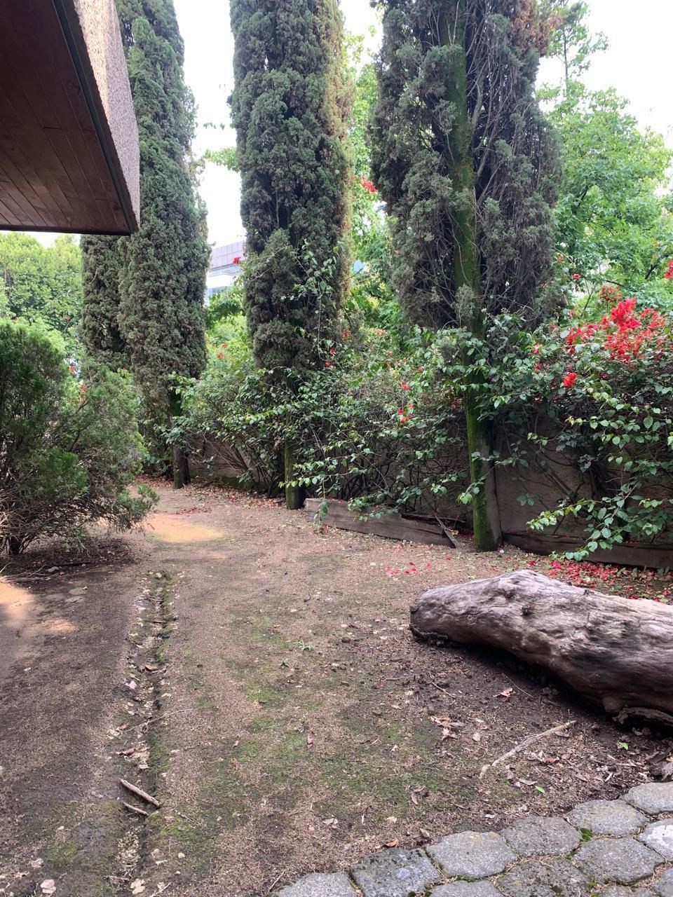 3 de 36