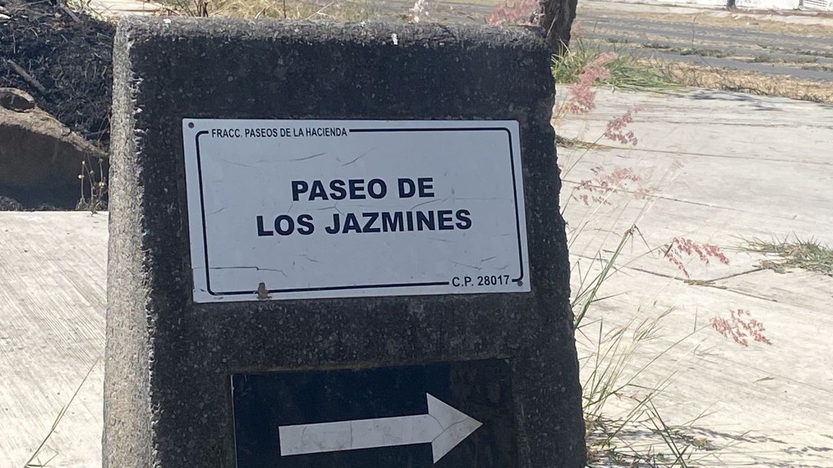 Imagen 6 de 7