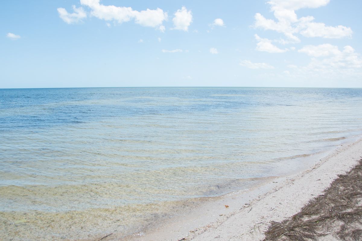 15 of 19: Área del club de playa 