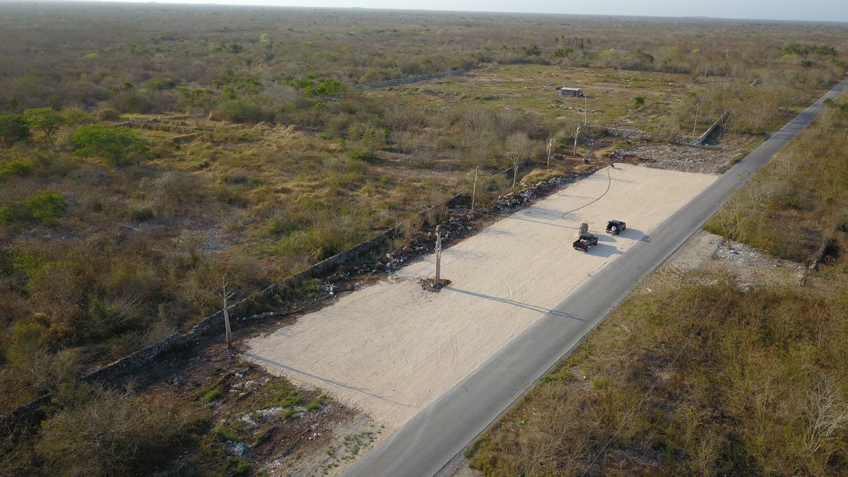 14 of 19: Tribv Maya 