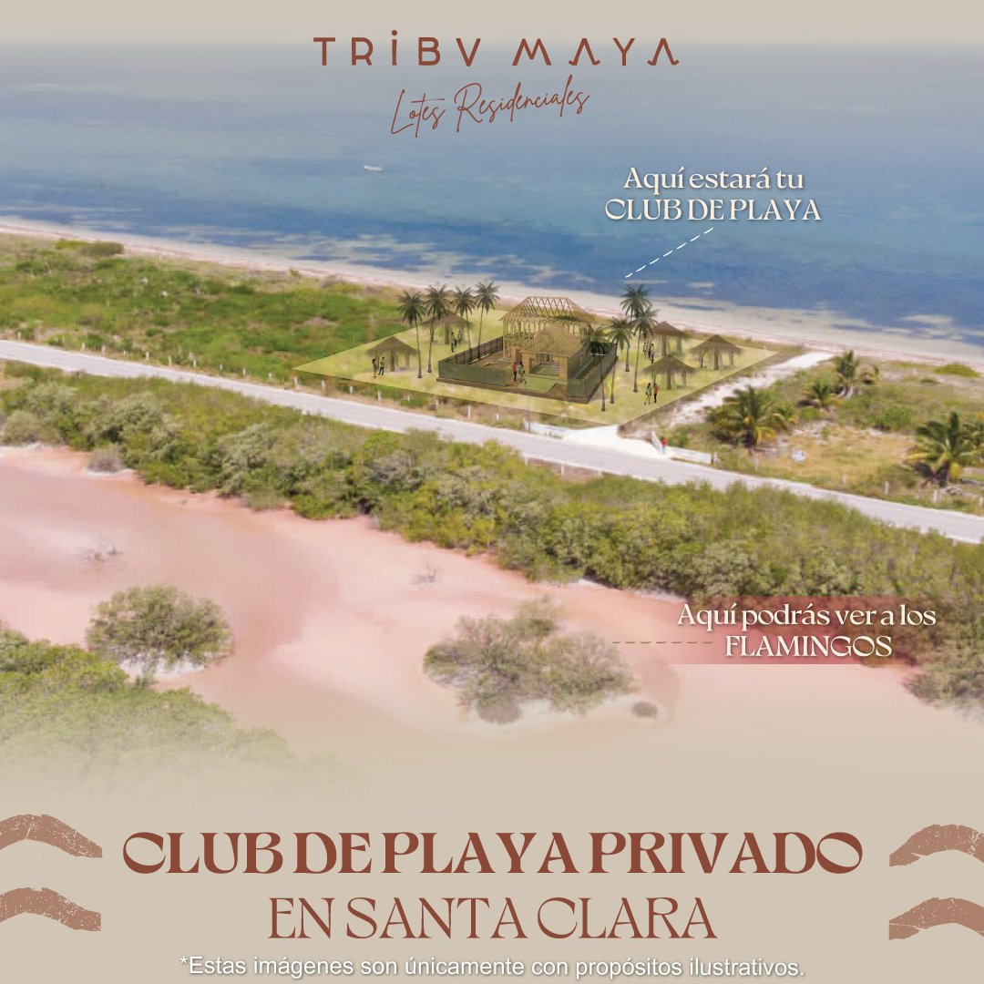 16 of 19: Área del club de playa 