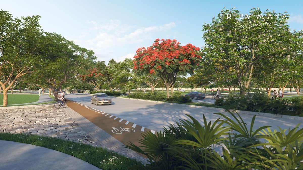 12 of 19: Vialidades 