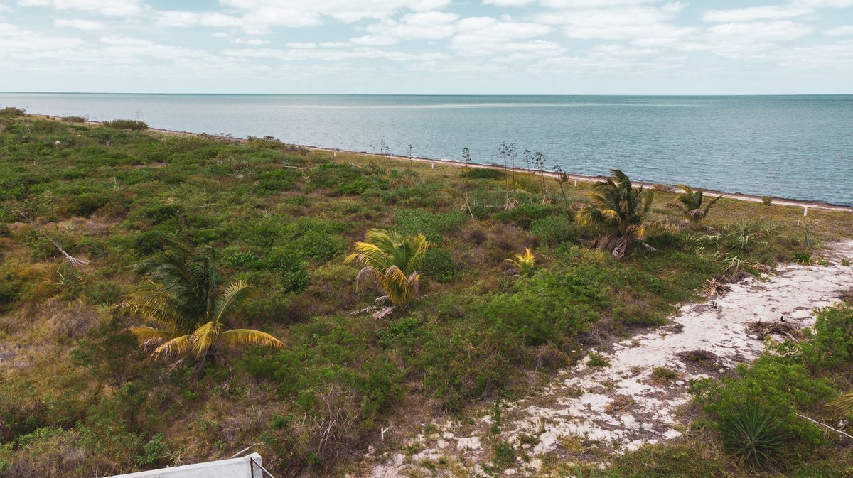 17 of 19: Área del club de playa 