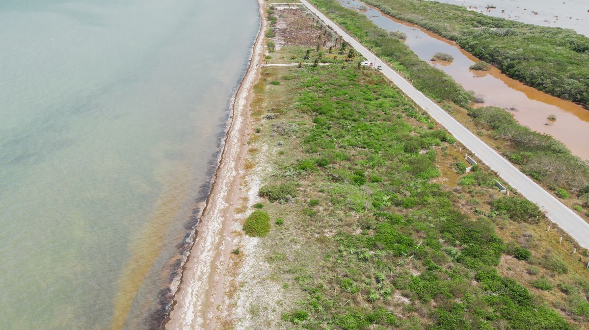 18 of 19: Área del club de playa 