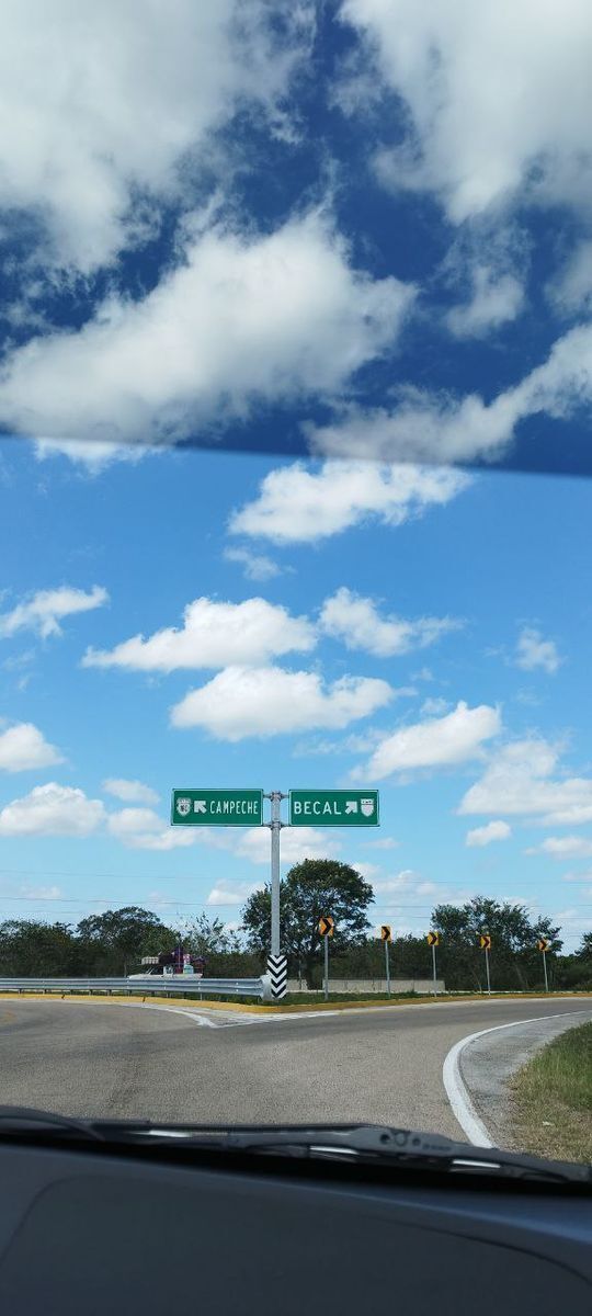 4 de 19