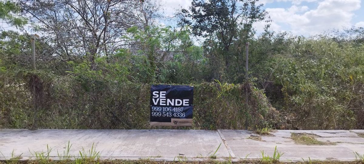 12 de 19