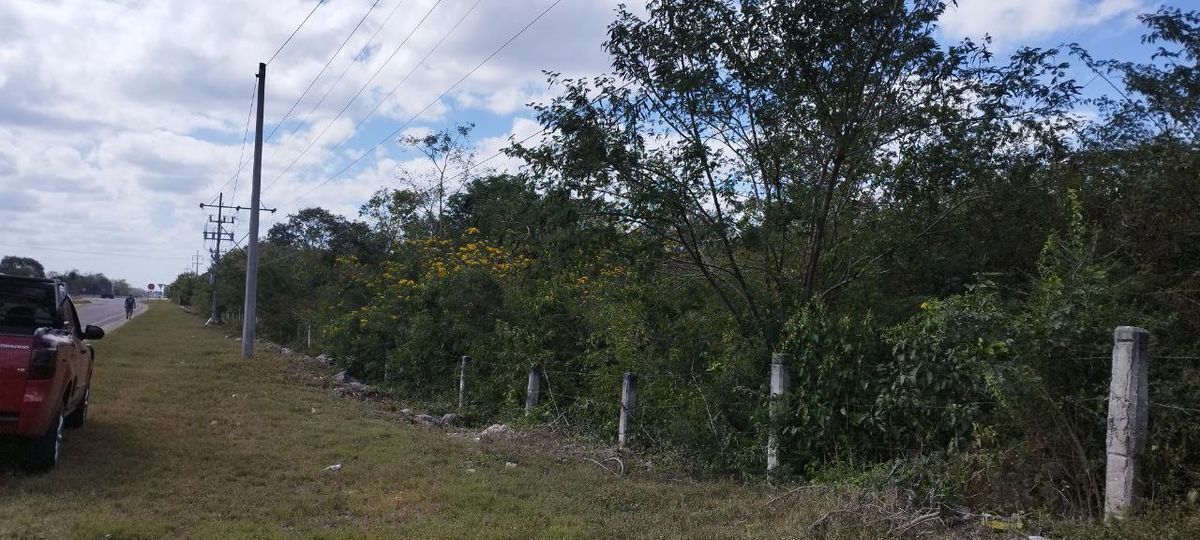 15 de 19