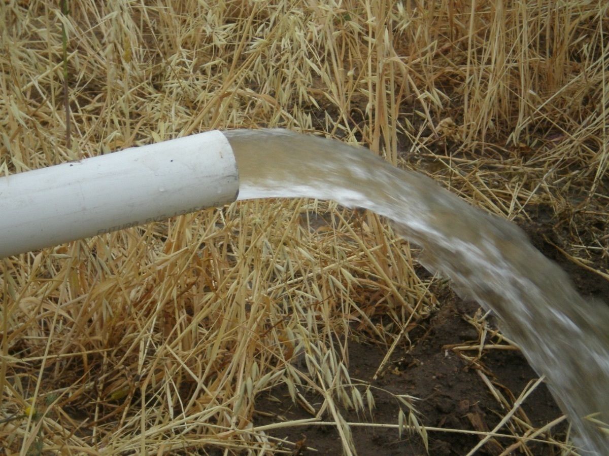 SE REMATAN 116 HECTÁREAS PARA SIEMBRA CON POZO DE AGUA