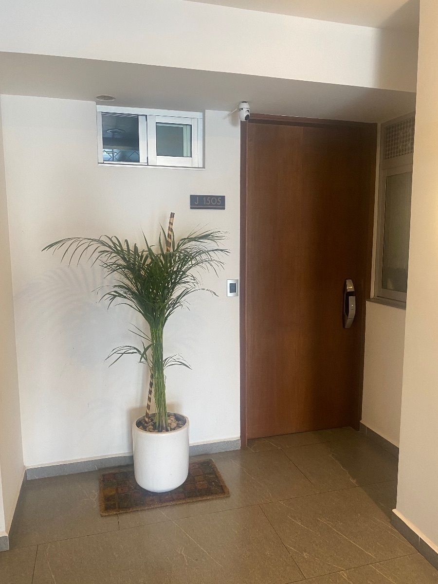 5 de 36: ENTRADA AL DEPARTAMENTO