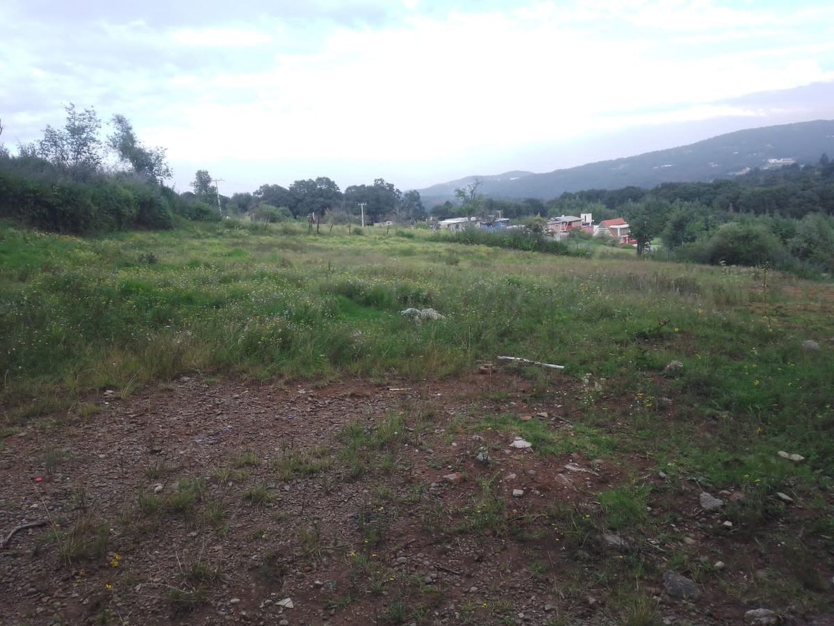 Imagen 2 de 5