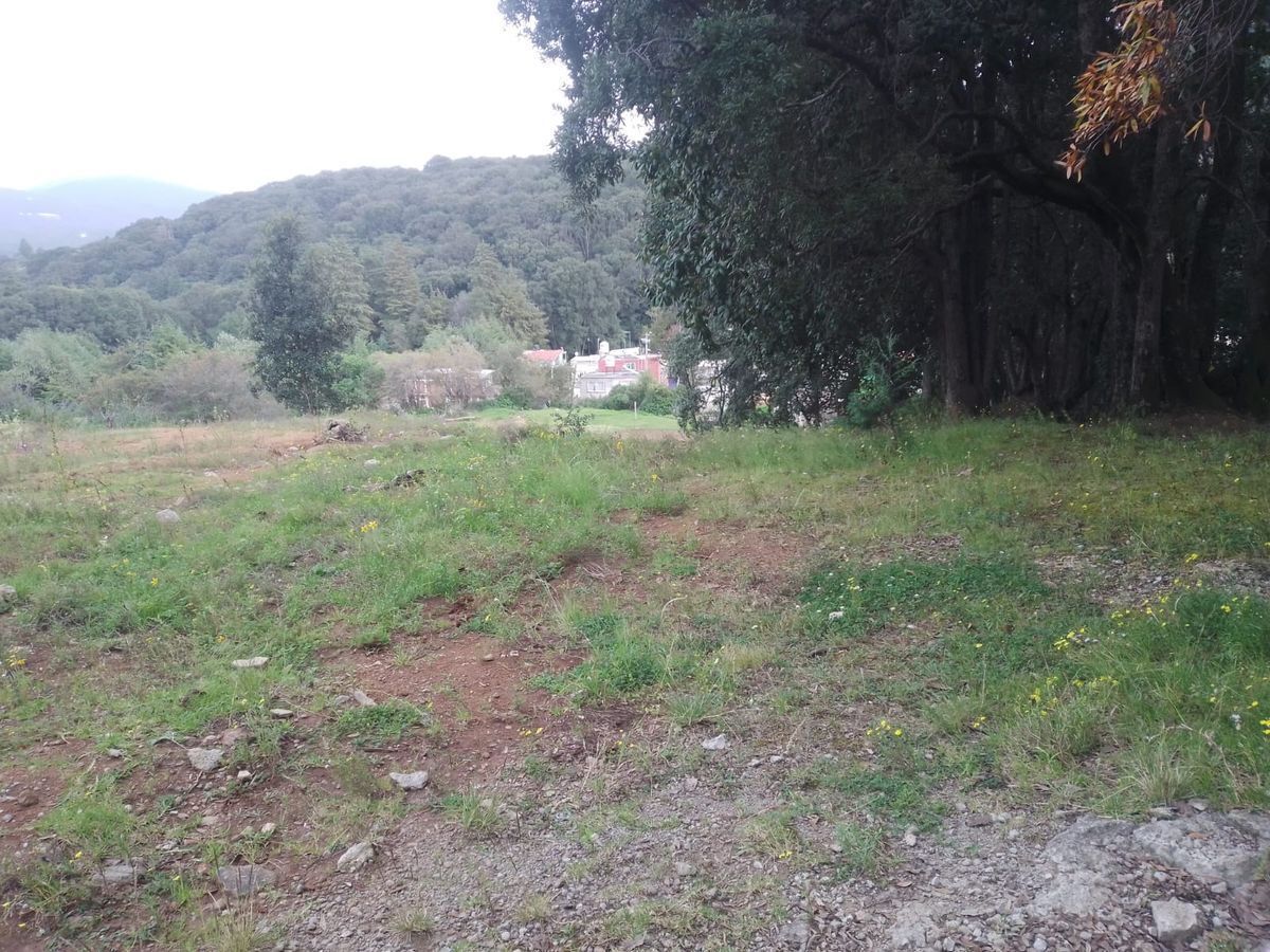 Imagen 3 de 5
