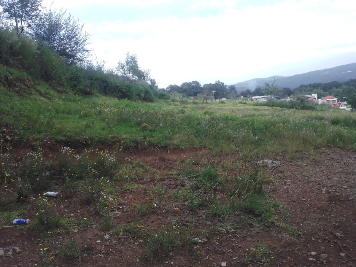 Imagen 4 de 5