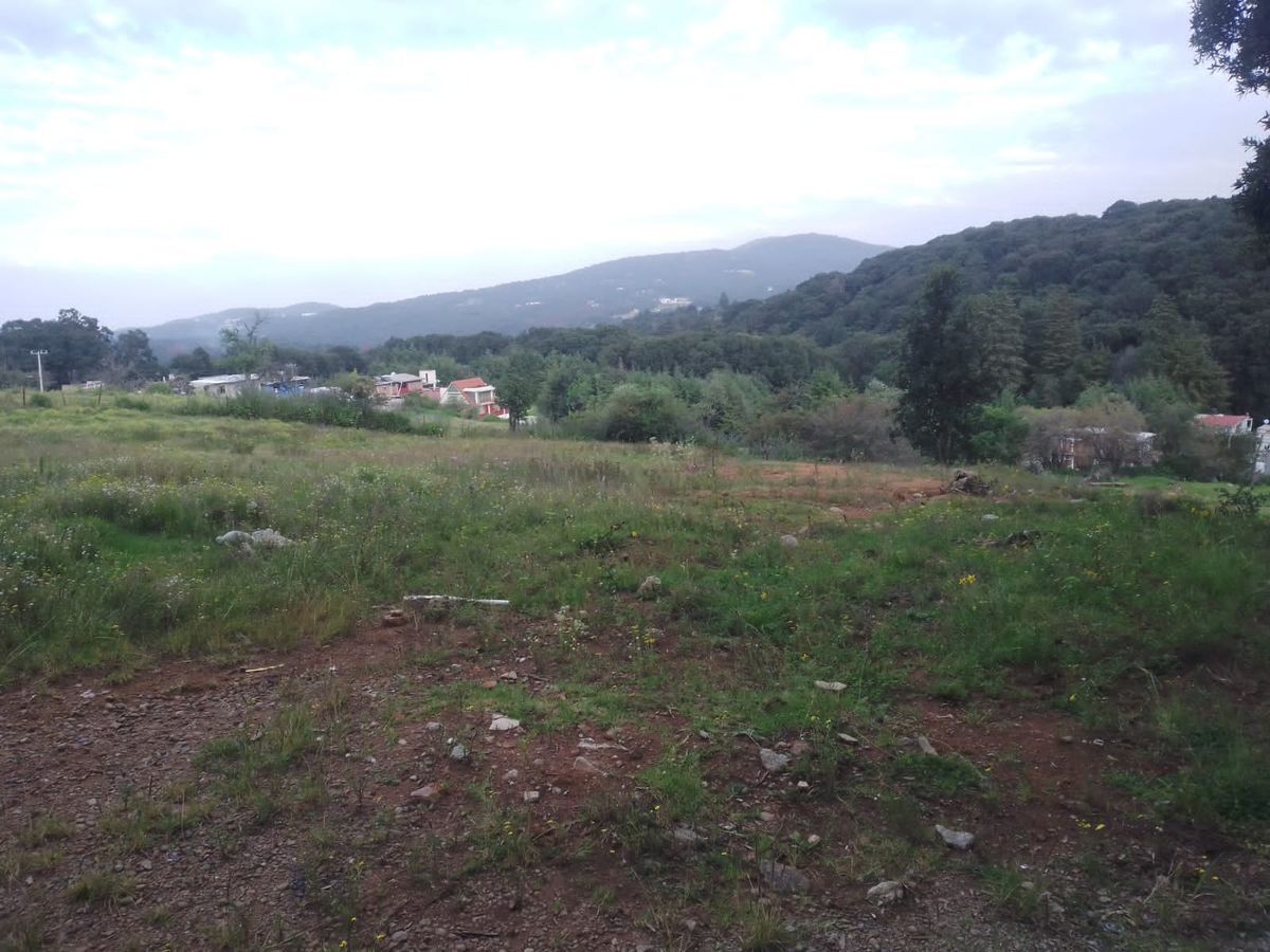 Imagen 5 de 5