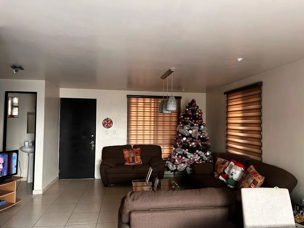 5 de 6