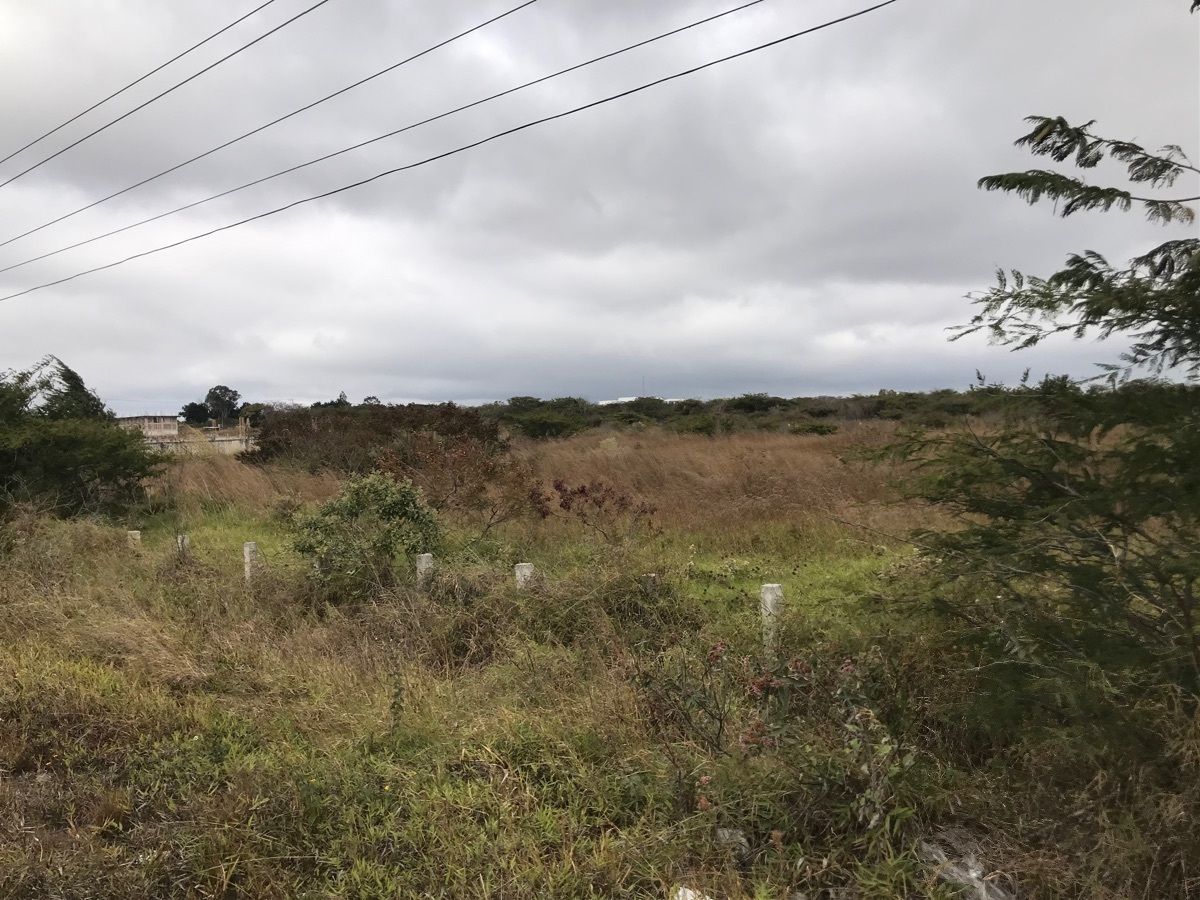 Terreno en Chichima Guadalupe, Comitán de Domínguez, foto 5 de 9