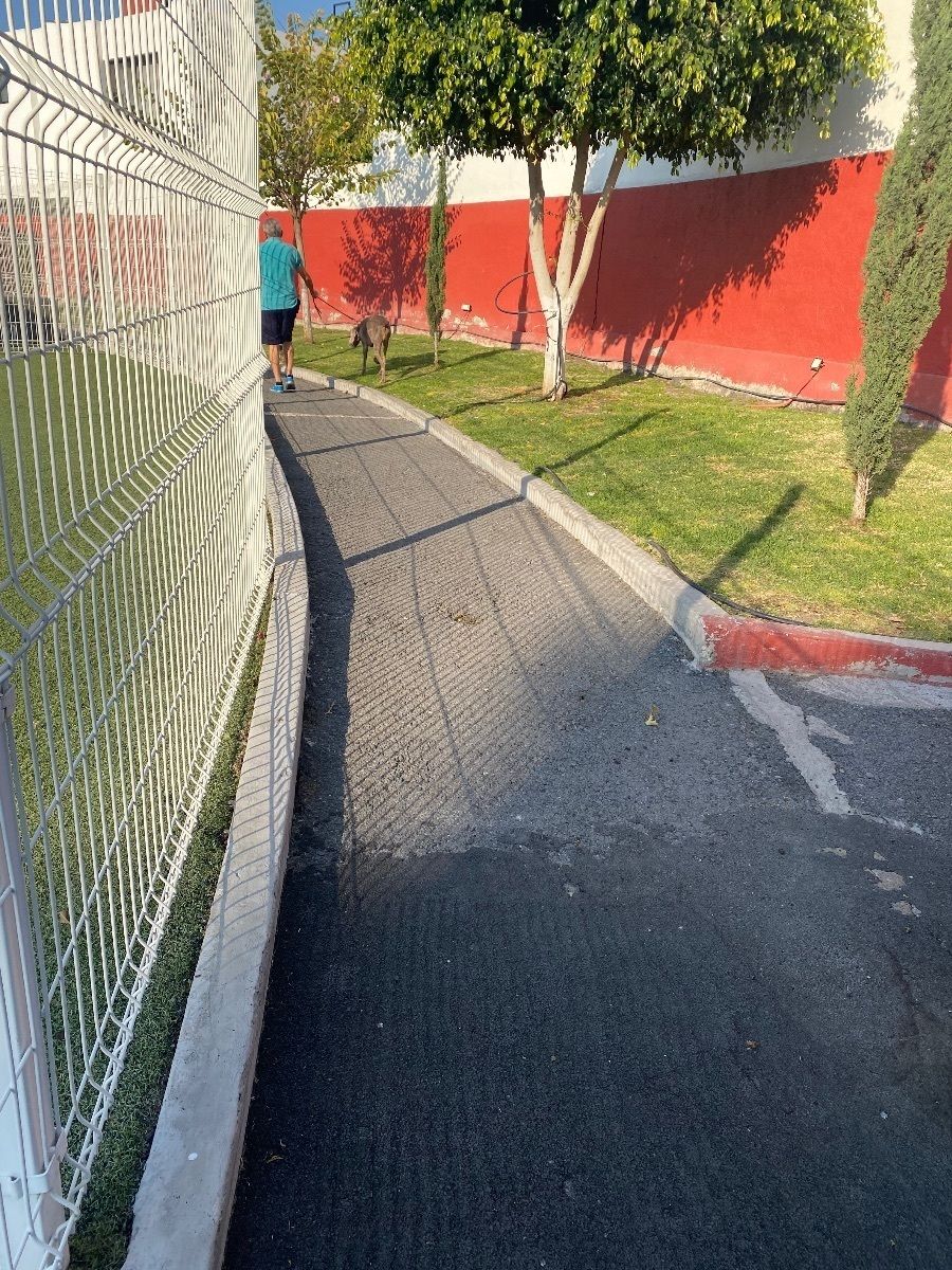 33 de 41