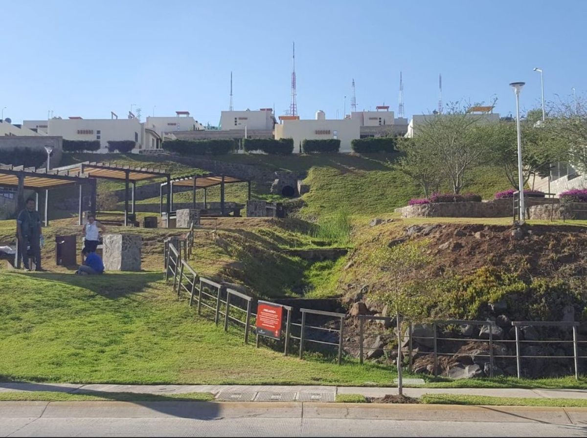 5 de 14