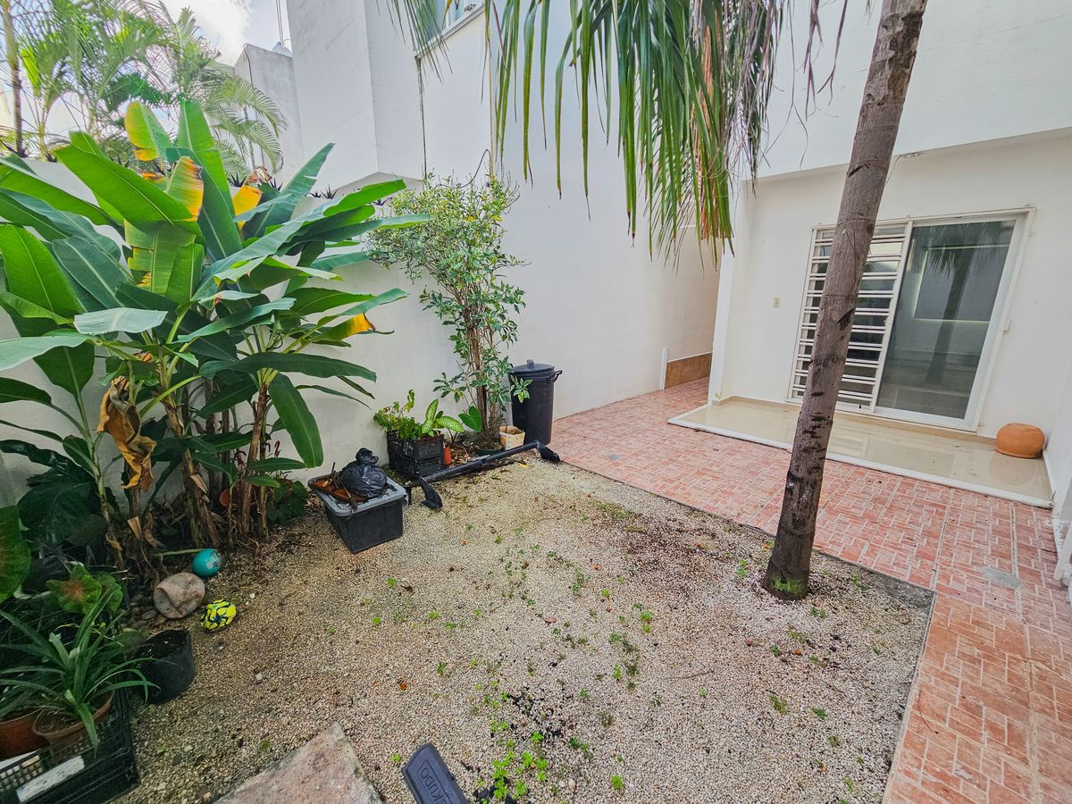 6 de 29: Patio trasero