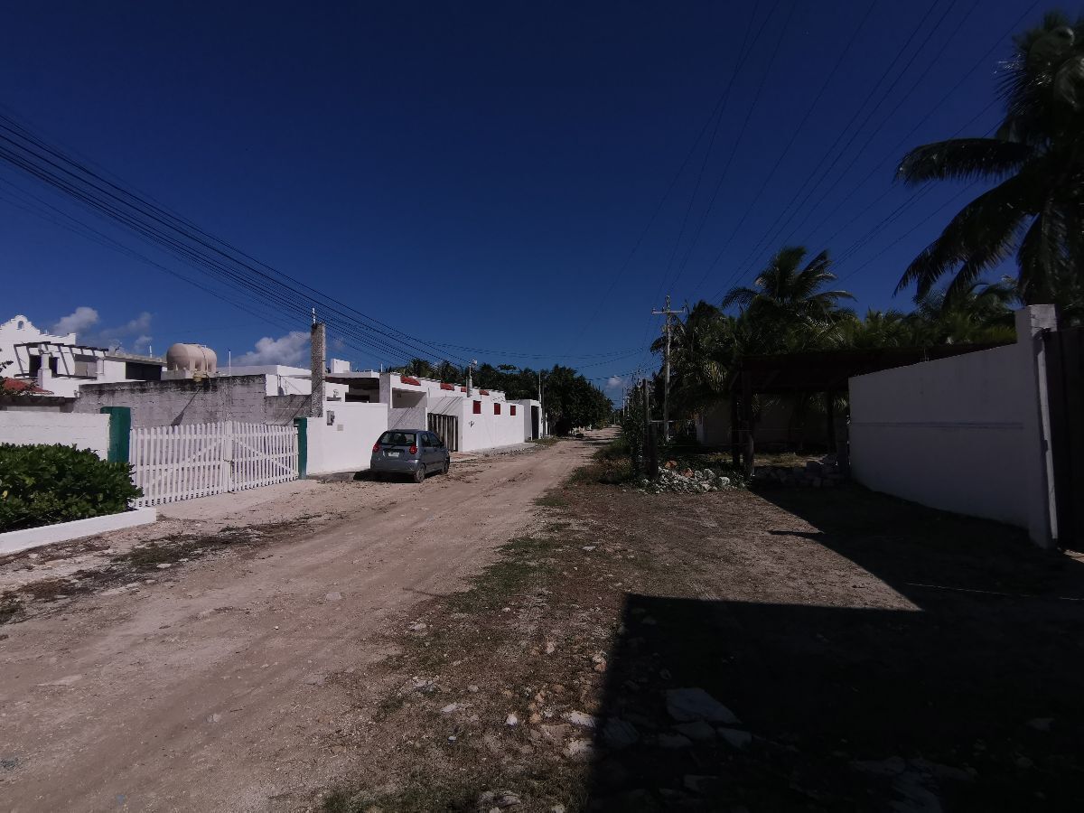 31 de 33