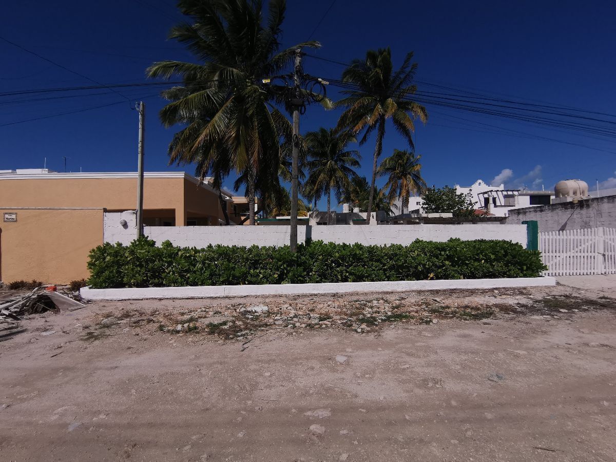 33 de 33