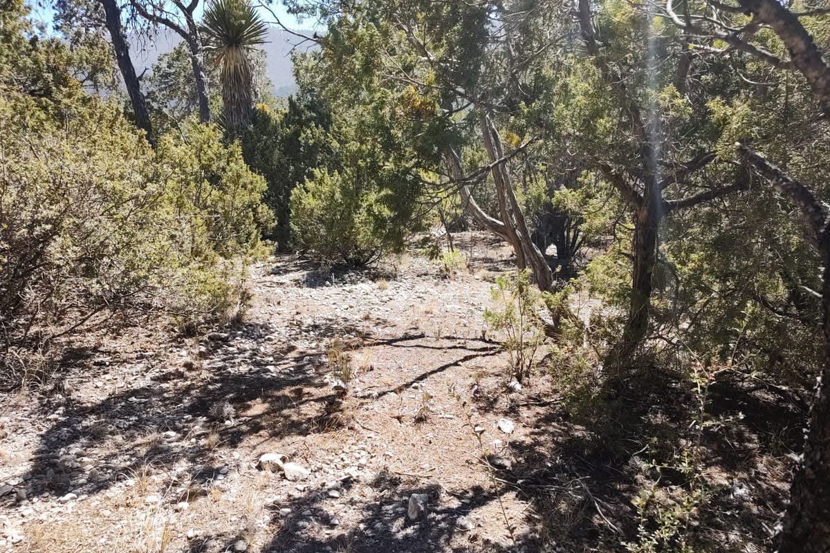Terreno Campestre en VENTA en San Antonio de las Alazanas