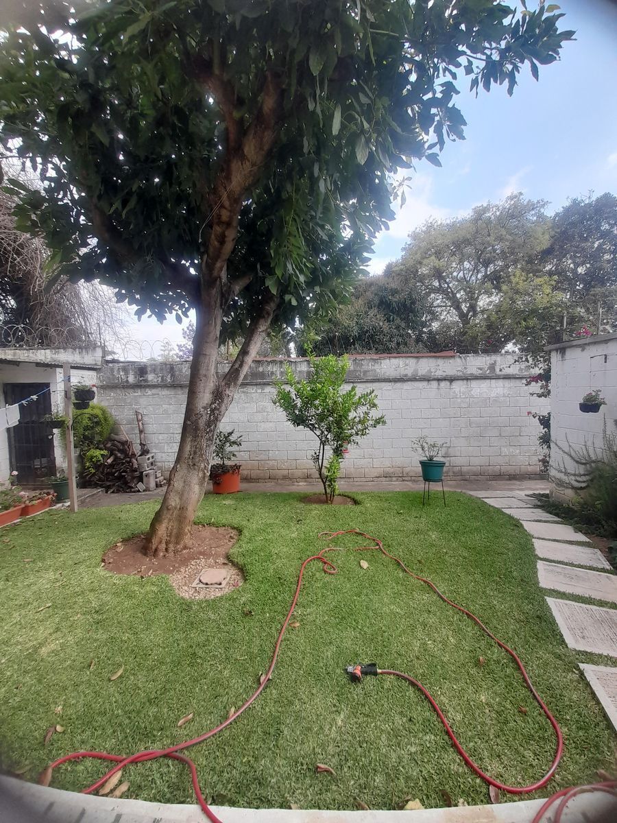 3 de 12