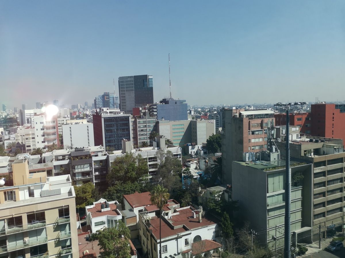 19 de 20